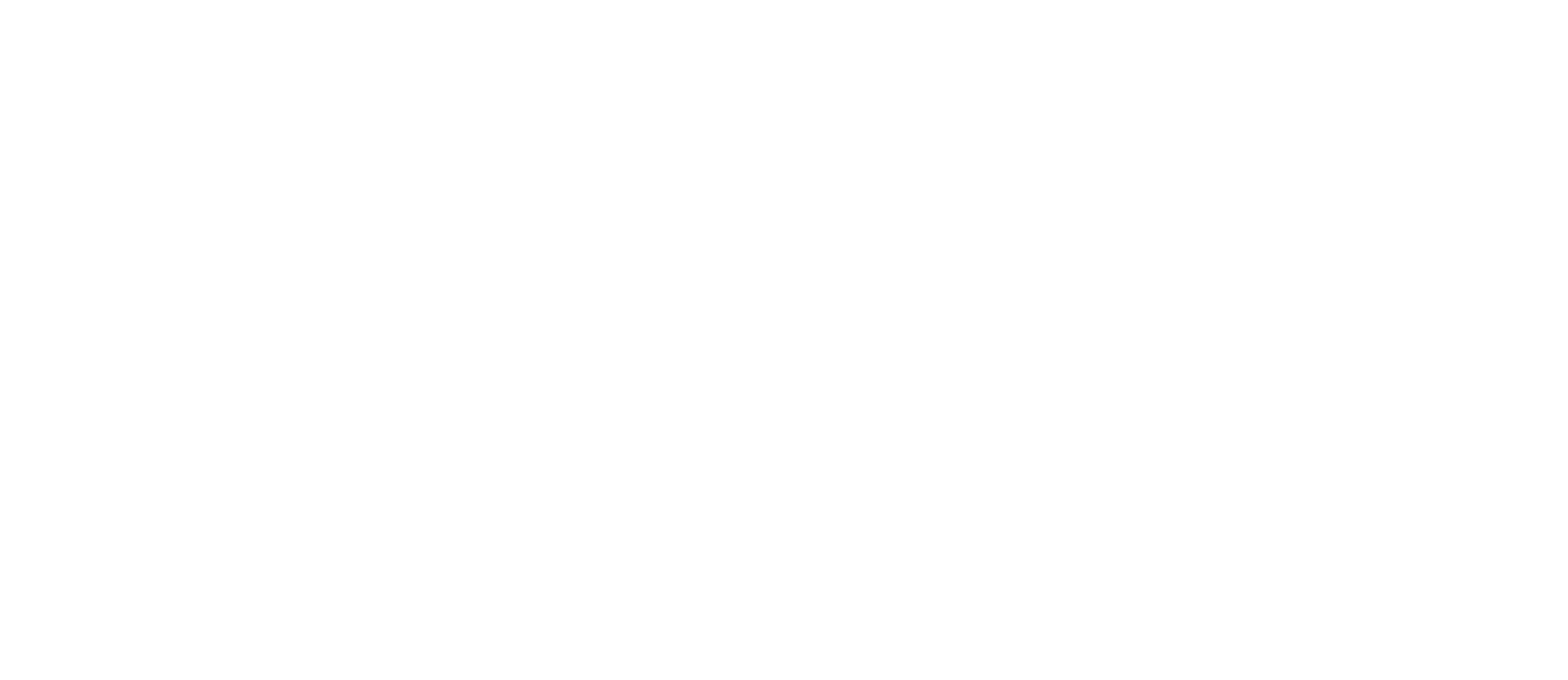 Shift Executive Partners